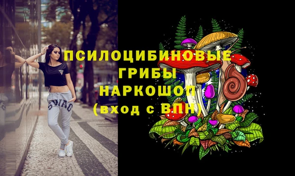 мдпв Сураж