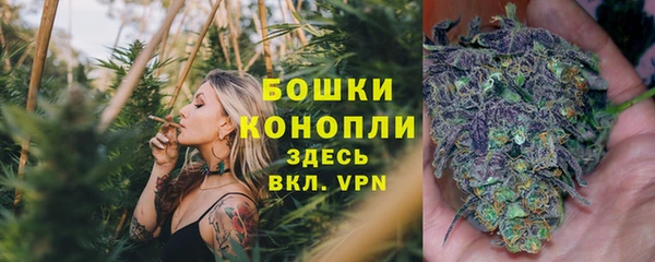 ешки Суровикино