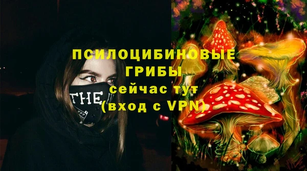 мдпв Сураж